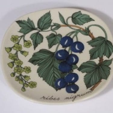 Arabia Botanica koristelautanen, Musta viinimarja, suunnittelija Esteri Tomula, Musta viinimarja, pieni, serikuva