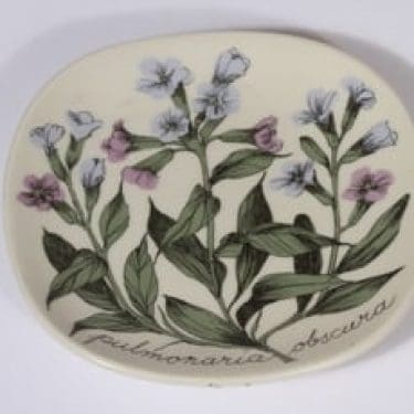 Arabia Botanica koristelautanen, Rohtoimikkä, suunnittelija Esteri Tomula, Rohtoimikkä, pieni, serikuva