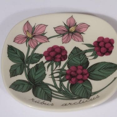 Arabia Botanica decorative plate, Mesimarja, designer Esteri Tomula, small, silk screening