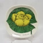 Arabia Botanica koristelautanen, Isoulpukka, suunnittelija , Isoulpukka, pieni, serikuva