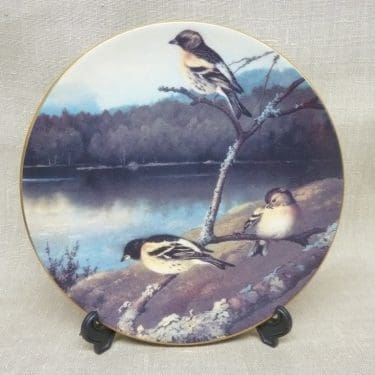 Arabia decorative plate, Järripeippoja, designer von Wright, silk screening, little bird theme