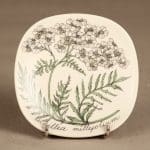 Arabia Botanica koristelautanen, Harakankello, suunnittelija Esteri Tomula, Harakankello, serikuva, kukka-aihe