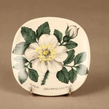 Arabia Botanica wall plate Rosa Spinosissima designer Esteri Tomula
