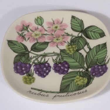Arabia Botanica koristelautanen, Karhunvatukka, suunnittelija Esteri Tomula, Karhunvatukka, pieni, serikuva
