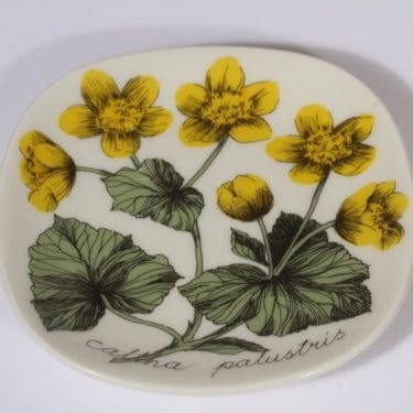 Arabia Botanica koristelautanen, Rentukka, suunnittelija Esteri Tomula, Rentukka, pieni, serikuva