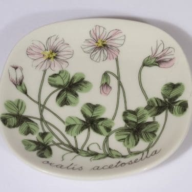 Arabia Botanica koristelautanen, Ketunleipä, suunnittelija Esteri Tomula, Ketunleipä, pieni, serikuva