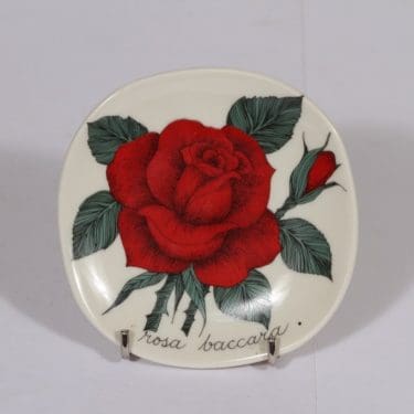 Arabia Botanica koristelaatta, Rosa baccara, suunnittelija Esteri Tomula, Rosa baccara, pieni, serikuva