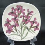 Arabia Botanica koristelautanen, Mäkitervakko, suunnittelija , Mäkitervakko, pieni, serikuva