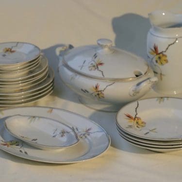 Arabia Koivunurpu astiasto, suunnittelija ,