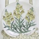 Arabia Botanica Kannusruoho koristelautanen, suunnittelija Esteri Tomula